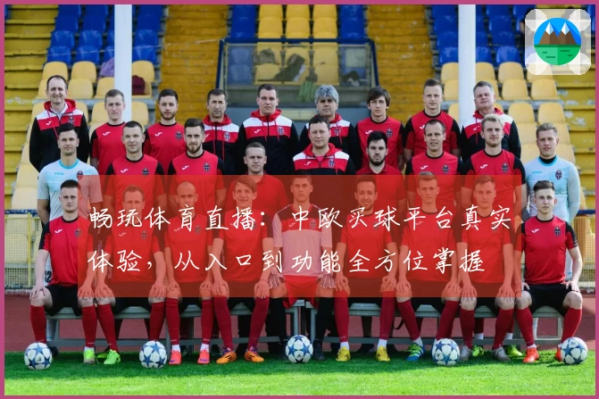 畅玩体育直播：中欧买球平台真实体验，从入口到功能全方位掌握