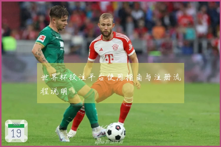 世界杯投注平台使用指南与注册流程说明