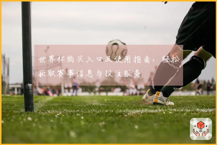 世界杯购买入口及使用指南，轻松获取赛事信息与投注服务